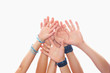 Human hands against white background