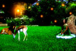 Fairy in an Enchanted Garden