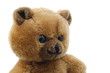 teddy bear isolated on white background teddy bear isolated on white background