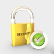 Security Concept