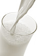 Milch