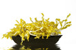 3 HEALTHY FOOD-THE SPROUTS OF STRING GREEN PEAS