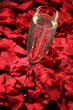 Champagne