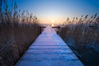Winter landscape Winter landscape