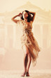 fashion image of a girl vintage toning fashion image of a girl vintage toning