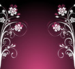 summer floral background