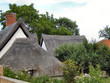 Thatched Roofs