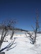 planête Yellowstone