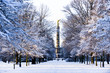 Durch den Tiergarten zur Siegessäule.