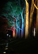 Colors