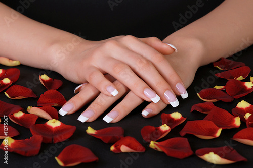 Beautiful french manicure and rose petals