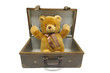 Old case with teddy bear