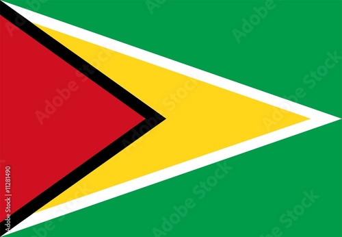Illustration: Guyana Flag Guyana Flag