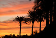 Arizona Arizona