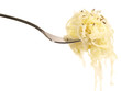 Sauerkraut mit Kümmel Sauerkraut mit Kümmel