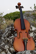Quadro Violin Quadro Violin