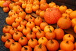 pumpkins outdoor pumpkins outdoor