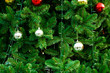 Foto: Christmas Tree Christmas Tree