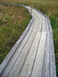 Wooden Path