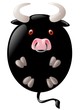 balloon taurus