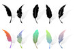 Different feather silhouettes and colored feathers over white Different feather silhouettes and colored feathers over white