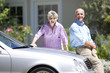 Couple washing car