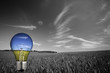 black and white landcape with colorful blue light bulb