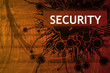Danger Security Alert
