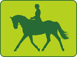 Dressurreiter green Dressurreiter green