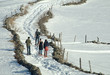 Balade en raquettes dans l'Aubrac