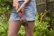 Woman harvesting fresh beet from garden