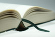 Buch