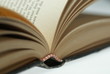 Buch
