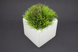 White vase with grass