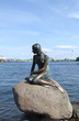 the little mermaid 03