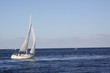 Schooner Schooner