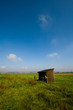 Autumn field