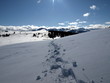 Traces de raquettes sur le plateau de  Beille (Ariège)