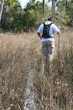 everglades hiking