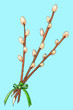Easter bouquet of willow