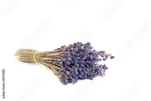 Lavender Herb