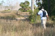 everglades hiking