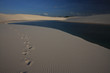 Brésil - Parc Lençois Maranhenses