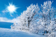 Winter in the mountains
