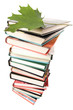 big pile of books isolated