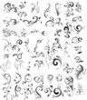floral silhouette