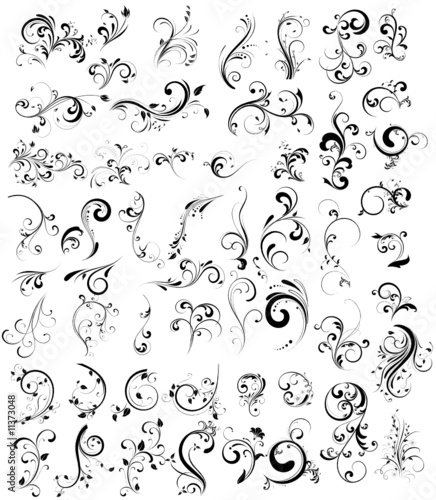 floral silhouette