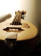 Mandolin Closeup