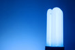 Photo: Compact Fluorescent Light Bulb. Compact Fluorescent Light Bulb.