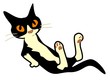 handsome cat-jpg